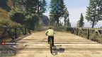 Risk Assessment Gold Medal Strangers And Freaks In GTA 5 GTA Guide