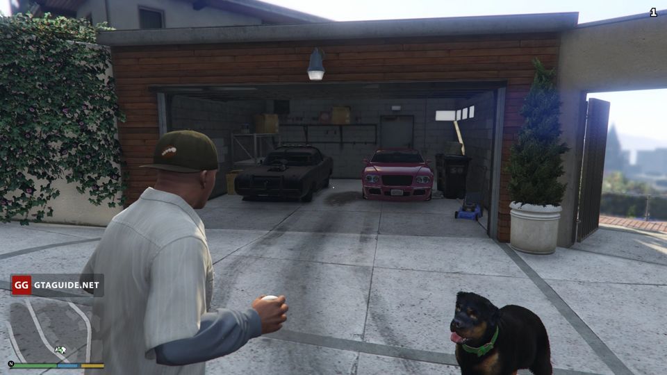 gta 5 chop dog