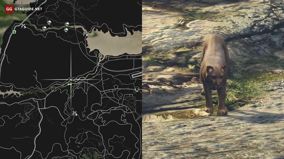 Wildlife Photography Challenge in GTA 5 — GTA Guide
